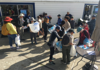 Scouts sorting throgh the collected trash