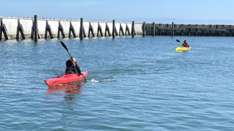 Maritime Explorer Club scouts from Makai kayaking